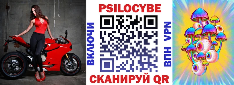 мега ссылки Кондрово Галлюциногенные грибы Psilocybe магазин